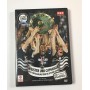 DVD Sturm Graz, Meister und Cupsieger (AUT)