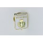 Pin Polisportiva Arzachena (ITA)