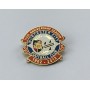 Pin Worcester City FC (ENG)