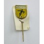 Pin TJ Slušovice (CZE)