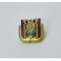 Pin RSC Anderlecht (BEL)